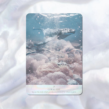 Salt Water Spirit Oracle deck – product view 4