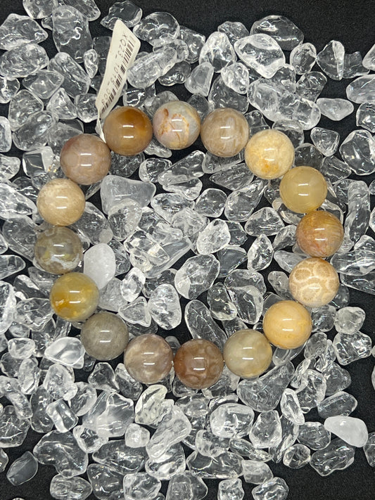 Natural Chrysanthemum Stone/Coral Fossils bracelets	