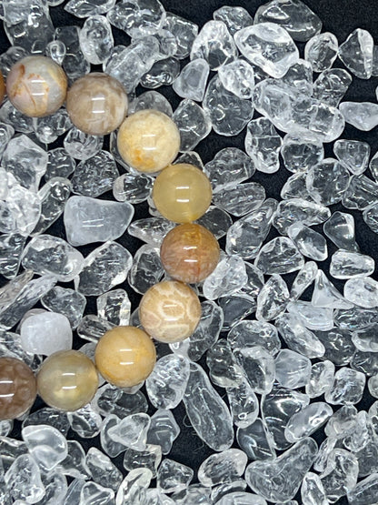 Natural Chrysanthemum Stone/Coral Fossils bracelets	